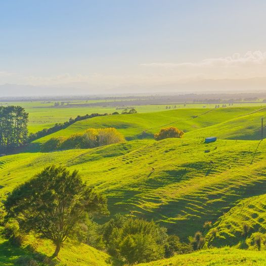 ODRŽAVAJMO SVOJE NEKRETNINE!