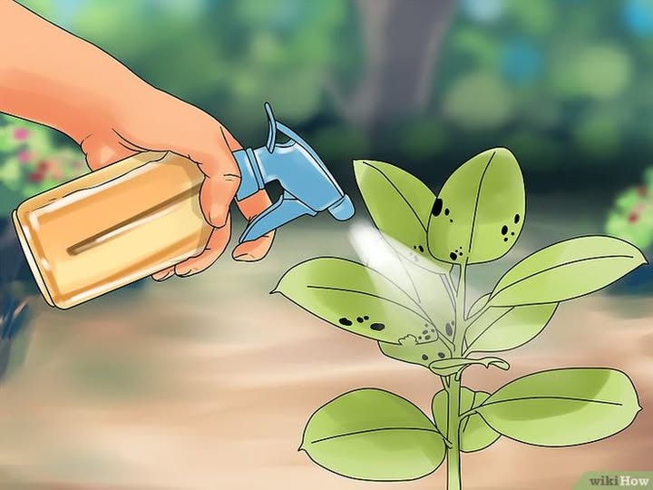 NOVI TERMIN ZA DOPUNSKU EDUKACIJU O PESTICIDIMA