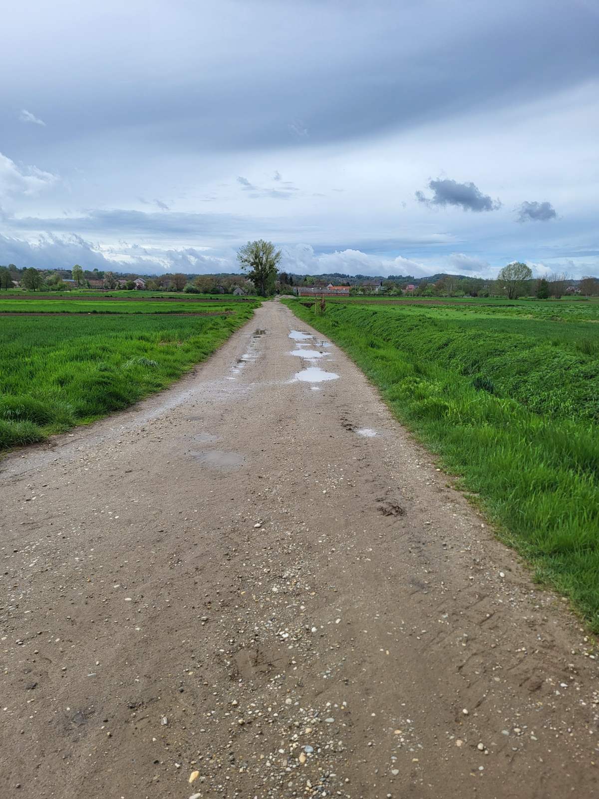 ODOBRENO 46.400,00 EURA ZA REKONSTRUKCIJU NERAZVRSTANE CESTE NC 3-031 SUDOVČINA