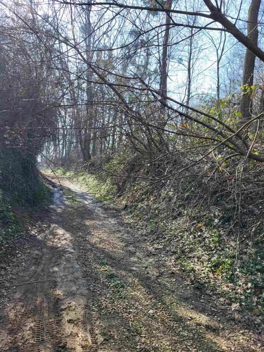 Poziv vlasnicima nekretnina uz javne ceste na području naše Općine na orezivanje granja i drveća