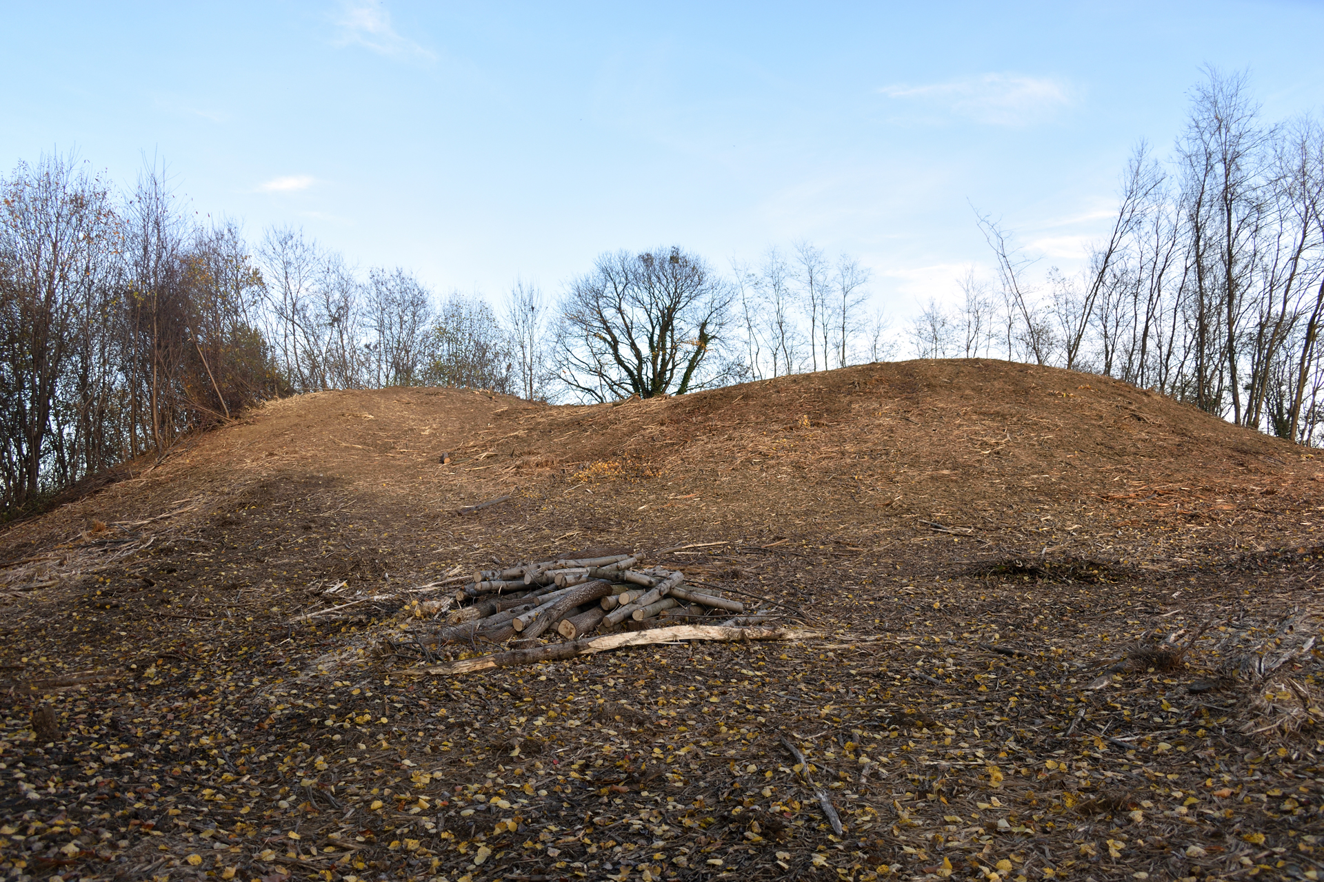 Izvršeni radovi čišćenja raslijna na Gamuli u Martijancu