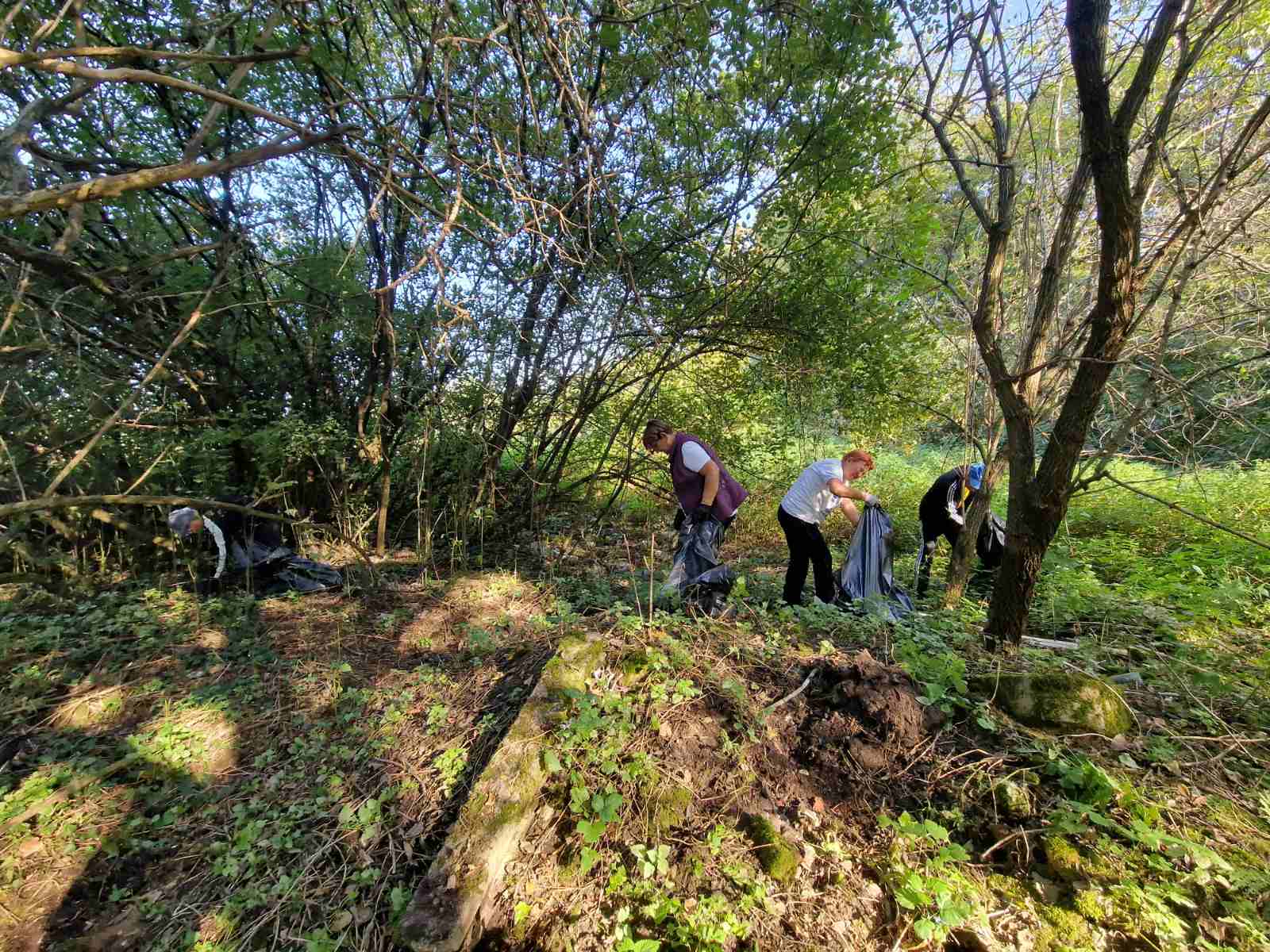 3. Zelna čistka Općine Martijanec 2024. godine